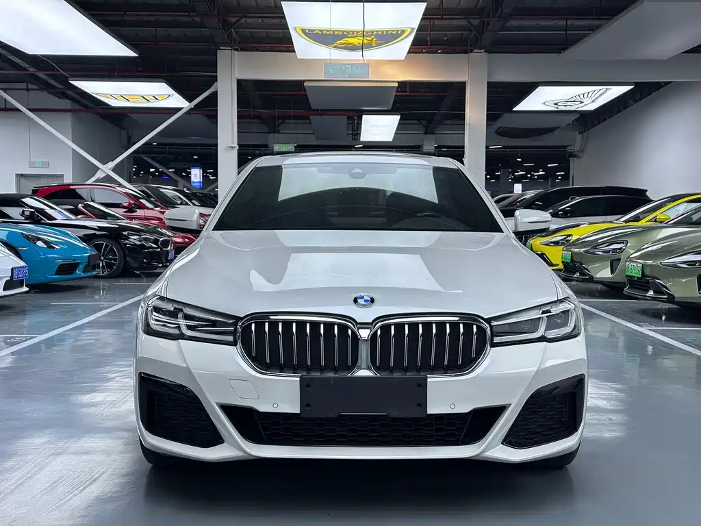 BMW 5 Series 2021