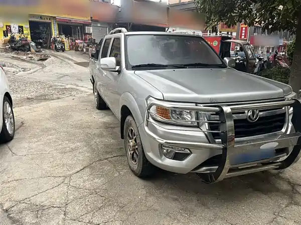 Dongfeng Ruiqi 2018