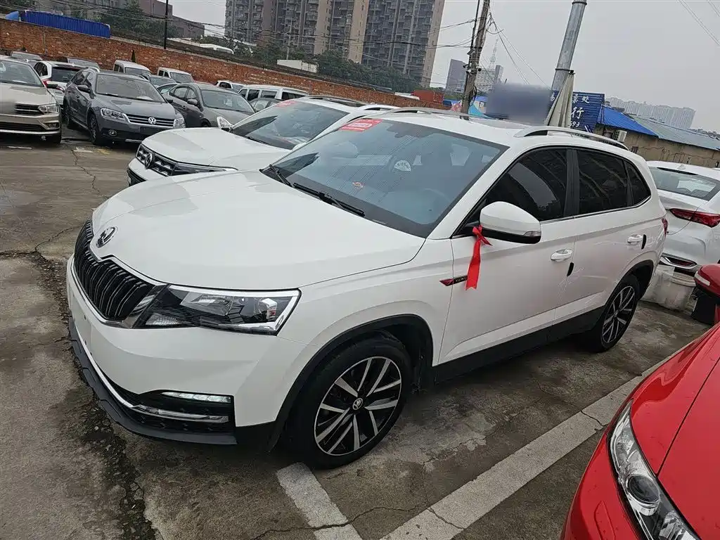 Skoda Kamiq 2021 — фото 21
