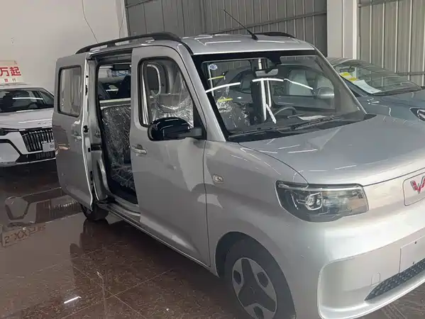 Wuling Zhiguang New Energy 2026