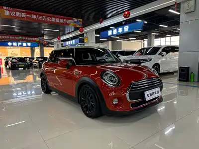 MINI MINI 2019
