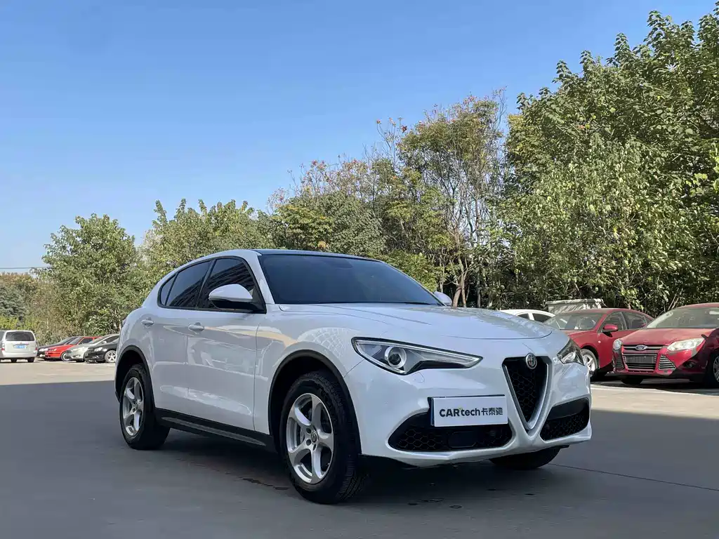 Alfa Romeo Stelvio 2019 — фото 3