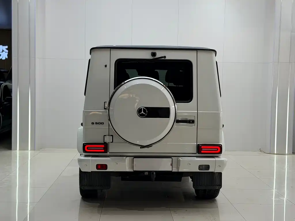 Mercedes-Benz G-Class 2016 — фото 13