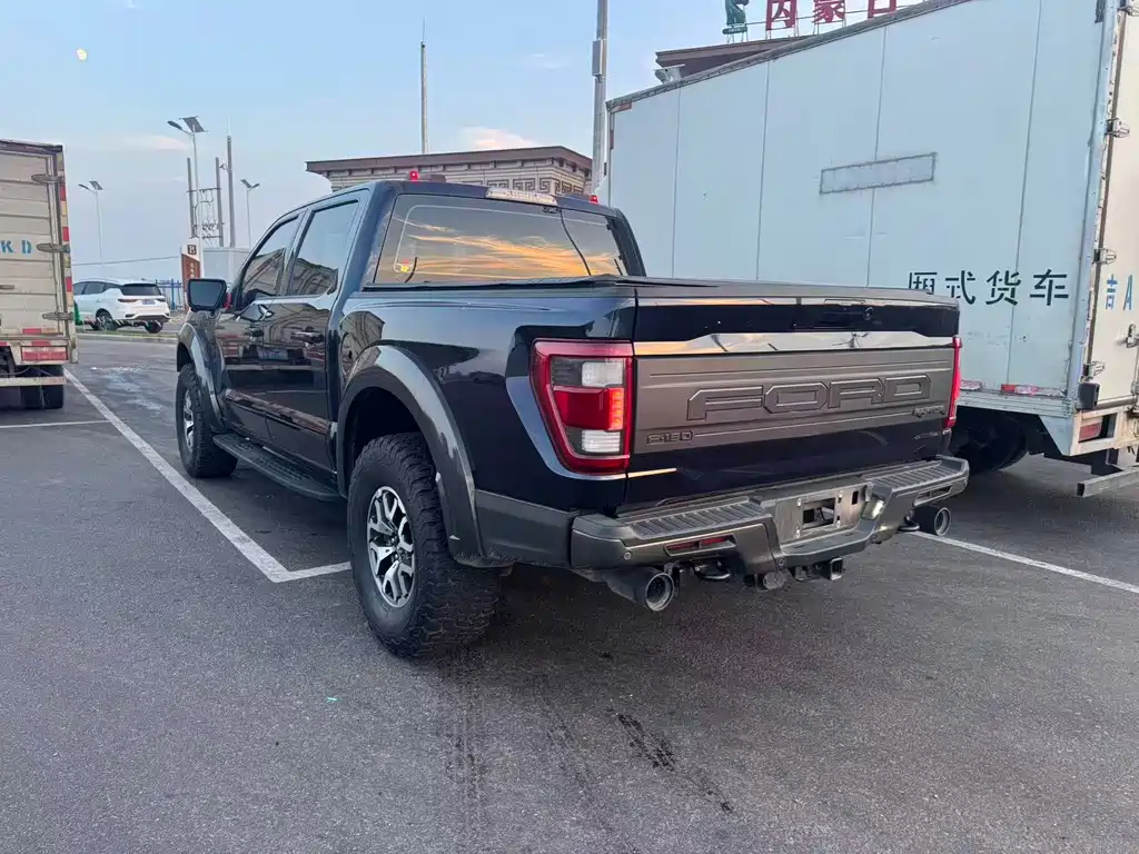 Ford F-150 Raptor 2023 — фото 5