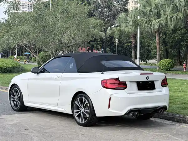 BMW 2 Series 2019