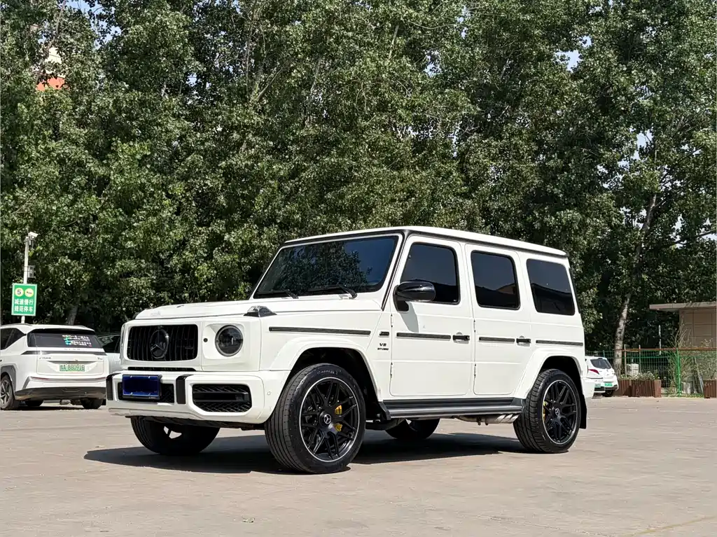 Mercedes-Benz G-Class 2021 — фото 20