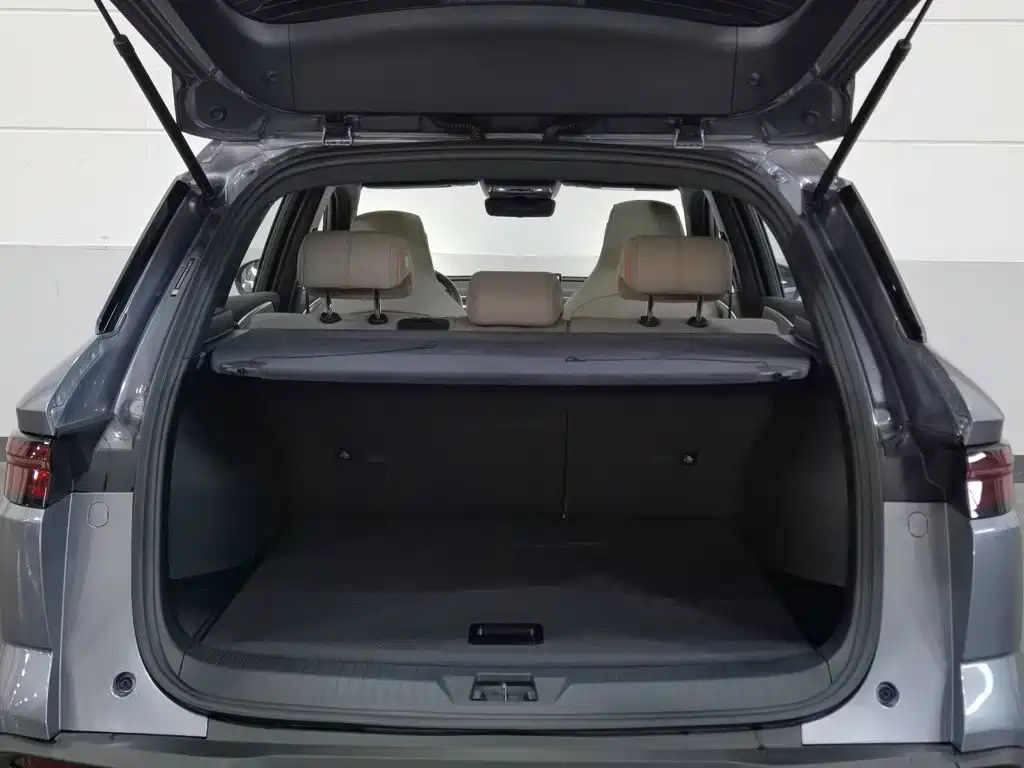 BYD Song Pro New Energy 2024 — фото 16