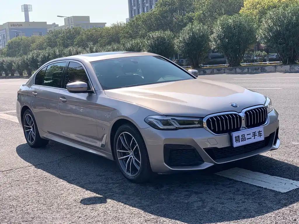 BMW 5 Series 2021