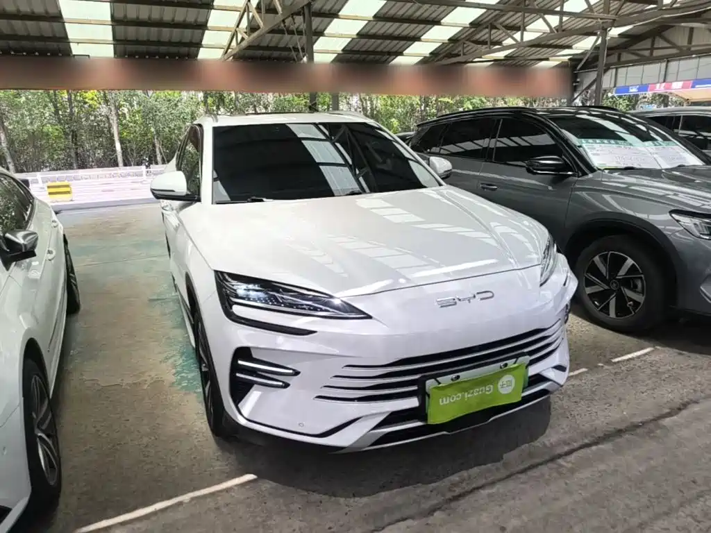 BYD Song PLUS New Energy 2024 — фото 22