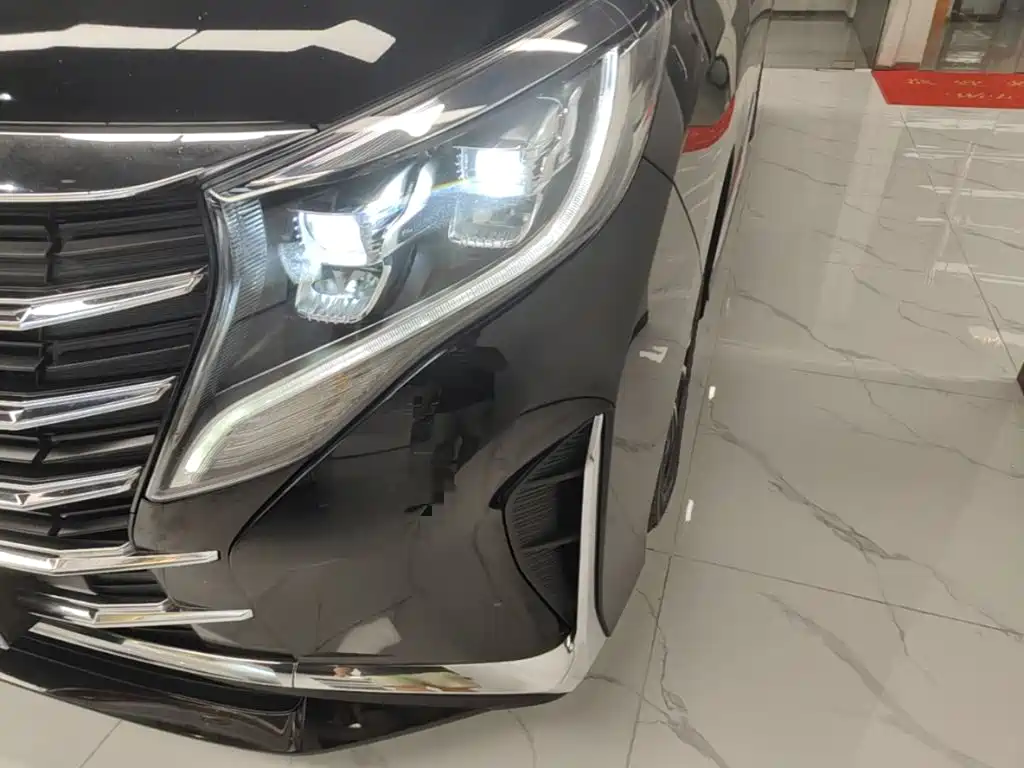 GAC Trumpchi M8 2023 — фото 24
