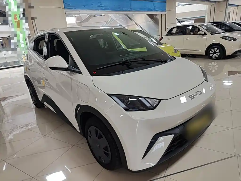 BYD Seagull 2025