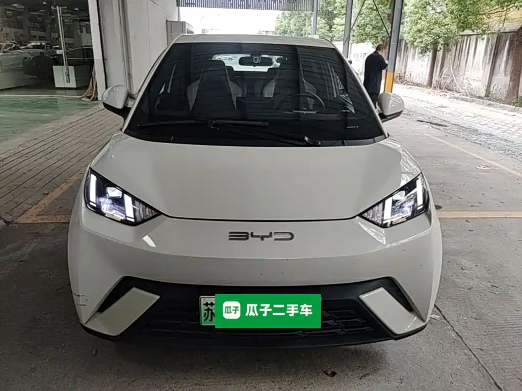 BYD Seagull 2024