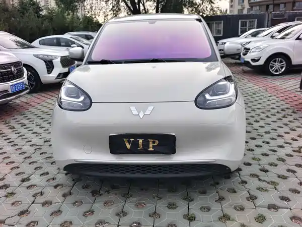 Wuling Bingo 2024