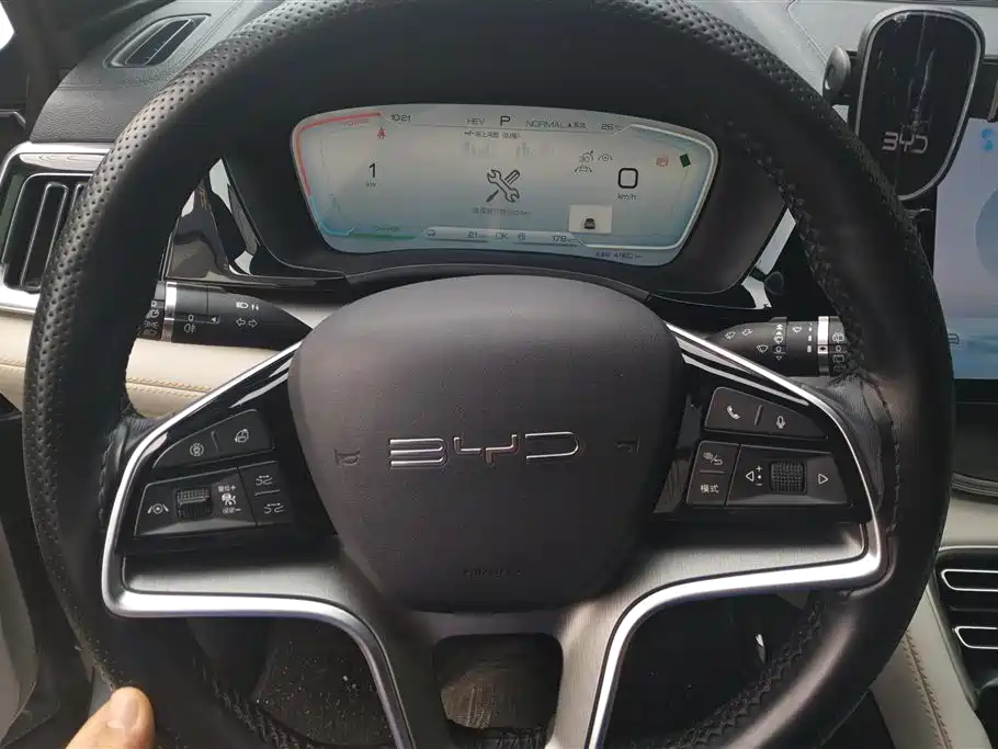 BYD PLUS New Energy 2023 — фото 15