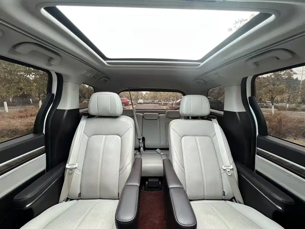 GAC Trumpchi M8 2021 — фото 19