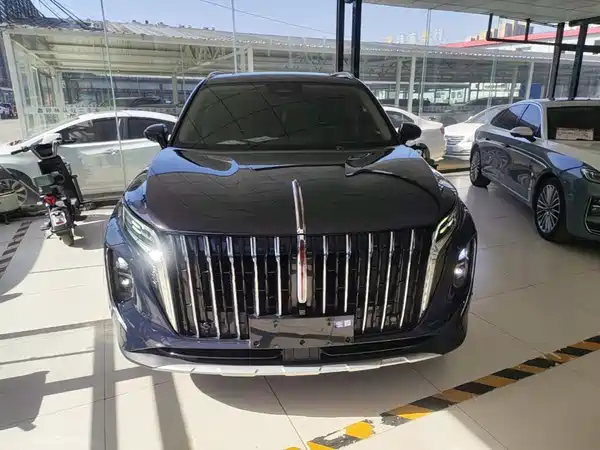 Hongqi HS7 2023