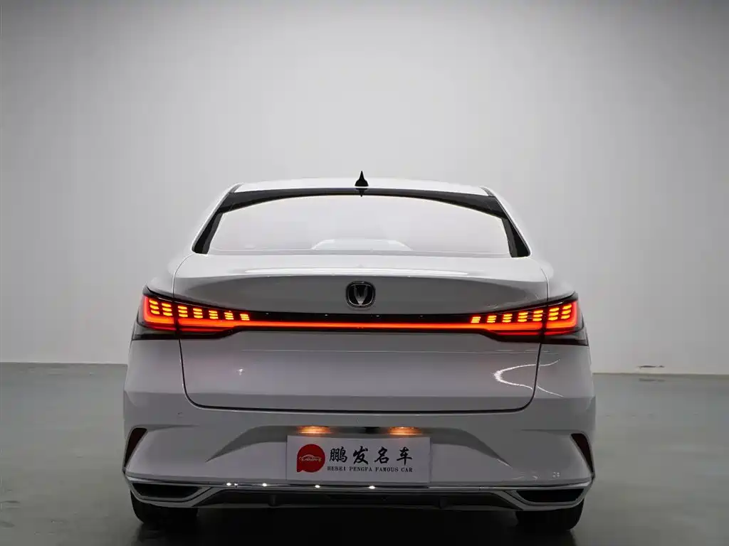 Changan Ruicheng PLUS 2023 — фото 17