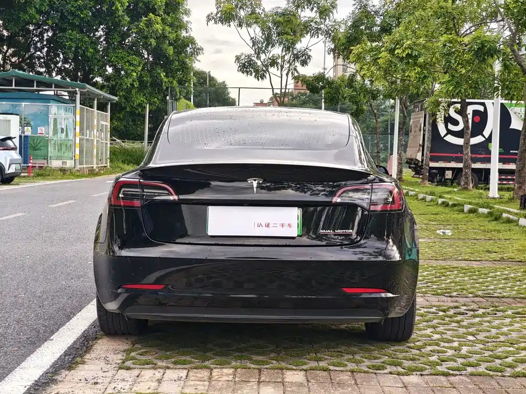 Tesla Model 3 2019