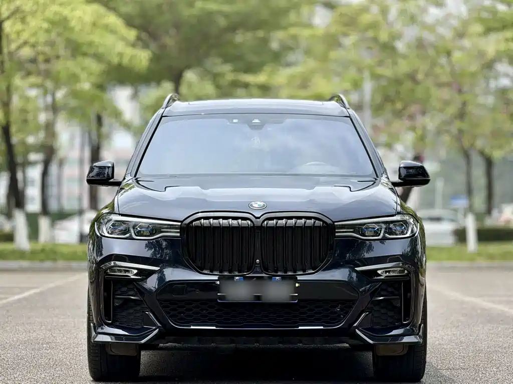 BMW X7 2021 — фото 23