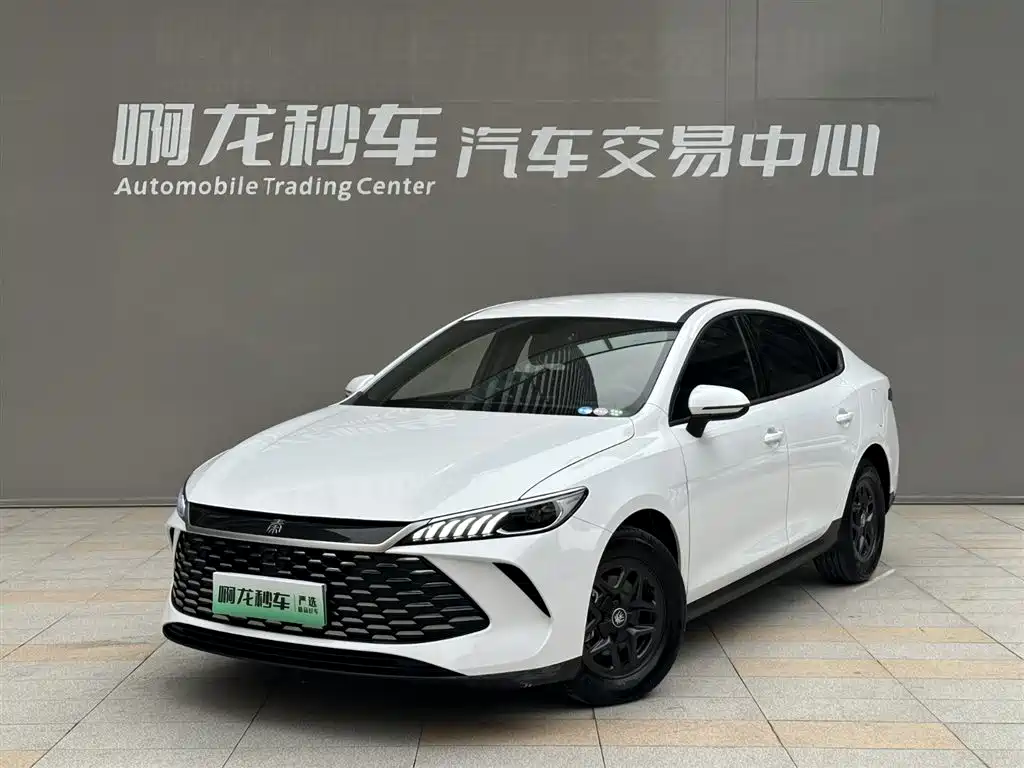 BYD Qin PLUS 2025 — фото 1