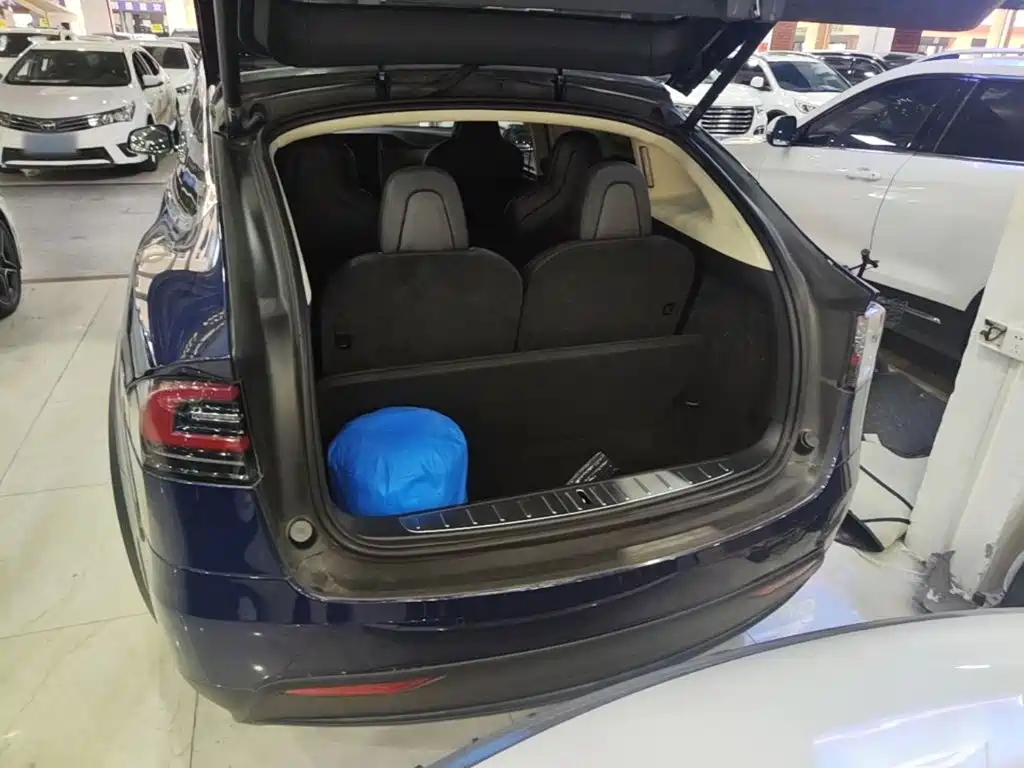 Tesla Model X 2019 — фото 15