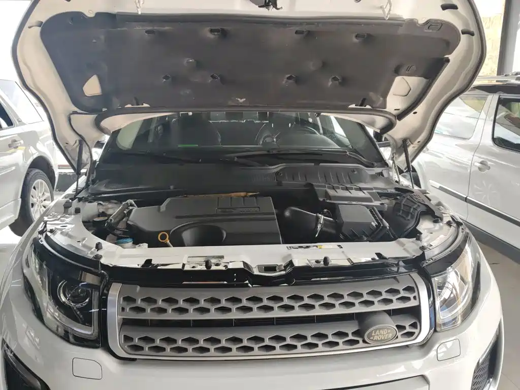 Land Rover Evoque 2019 — фото 16
