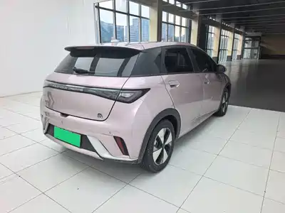 BYD Dolphin 2023