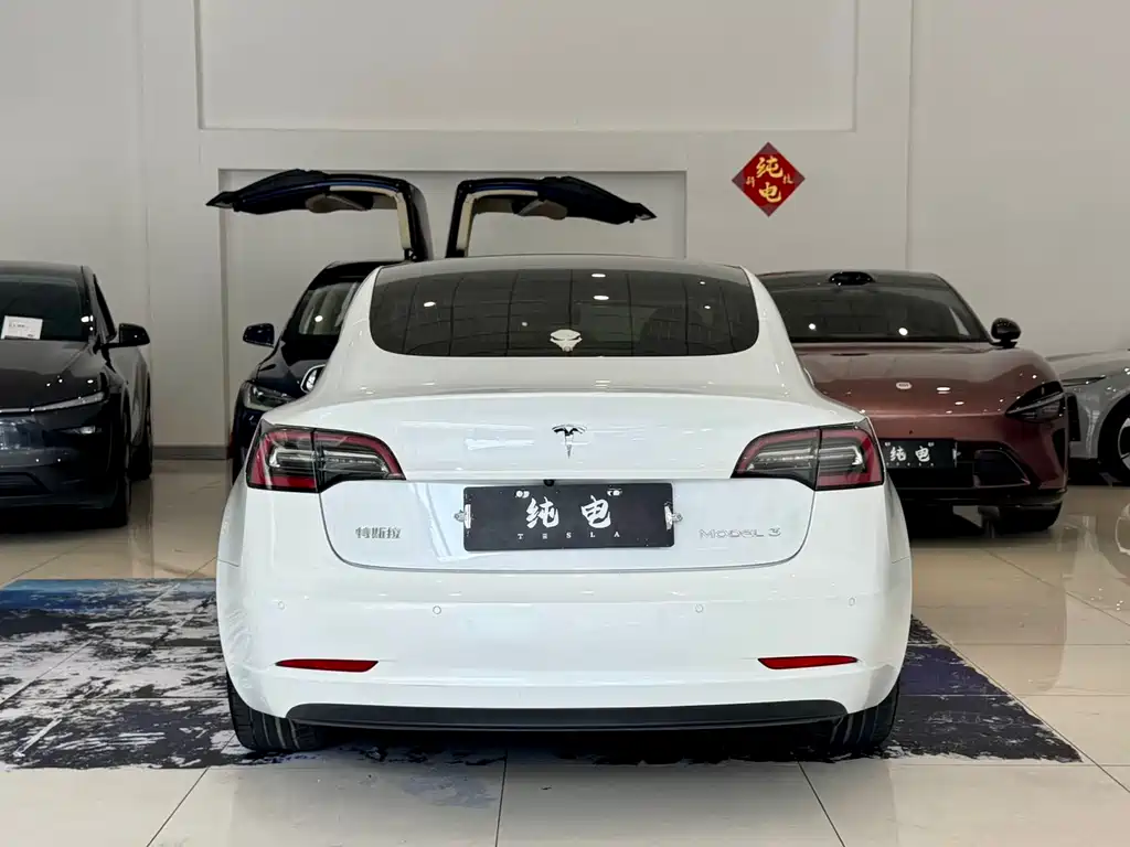 Tesla Model 3 2020 — фото 14