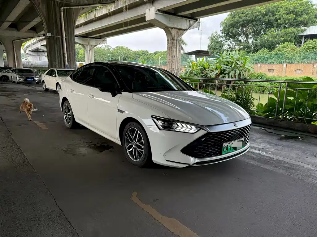 BYD Qin PLUS 2021