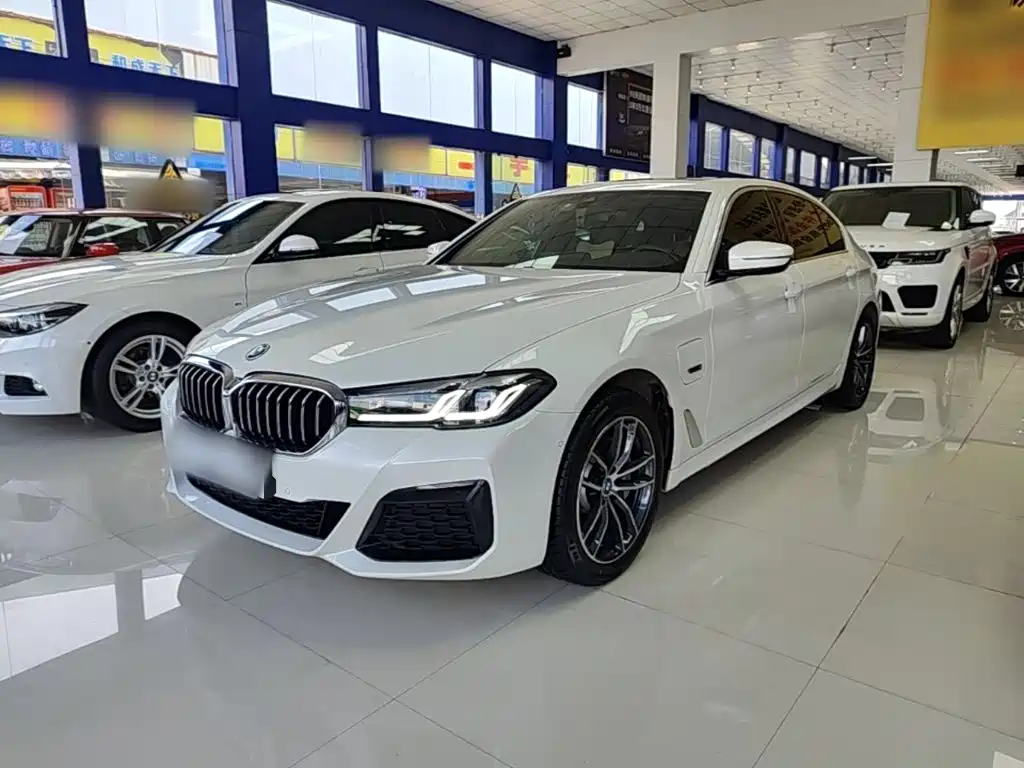 BMW 5 Series New Energy 2022