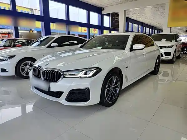 BMW 5 Series New Energy 2022