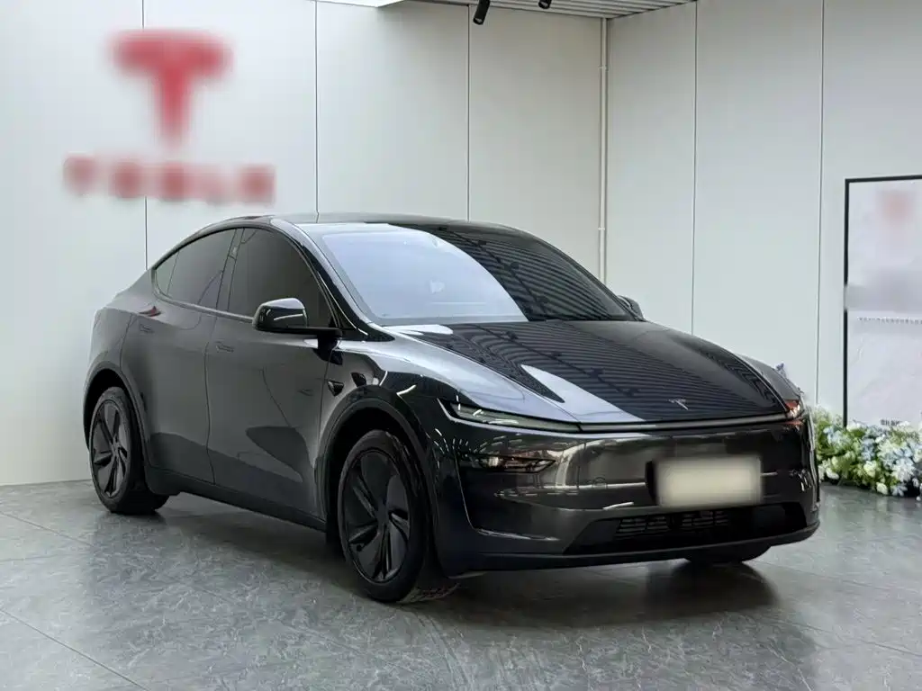 Tesla Model Y 2025 — фото 4