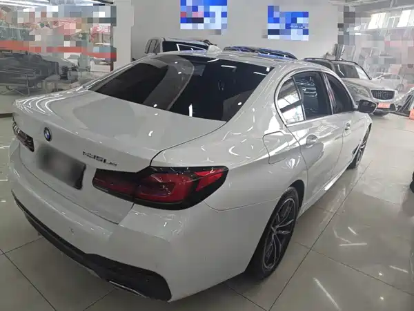 BMW 5 Series New Energy 2021