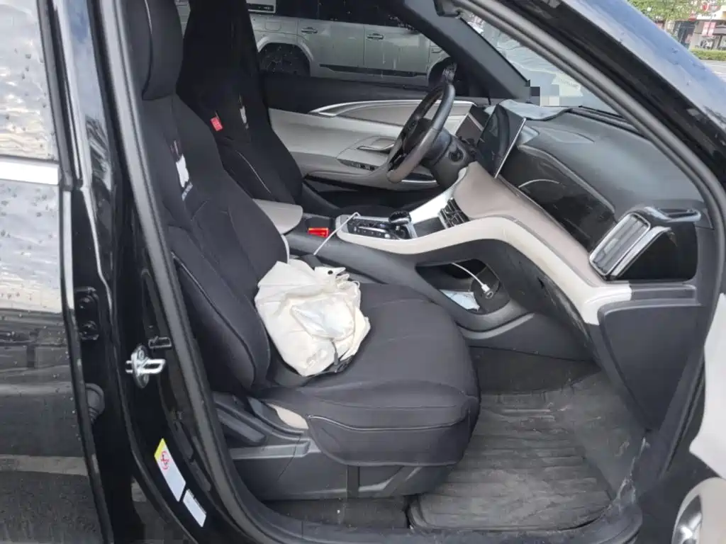 BYD Pro New Energy 2024 — фото 20