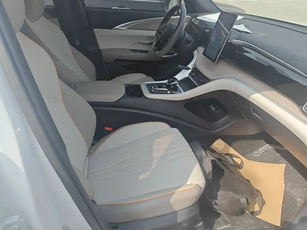 BYD Song Pro New Energy 2025 — фото 20