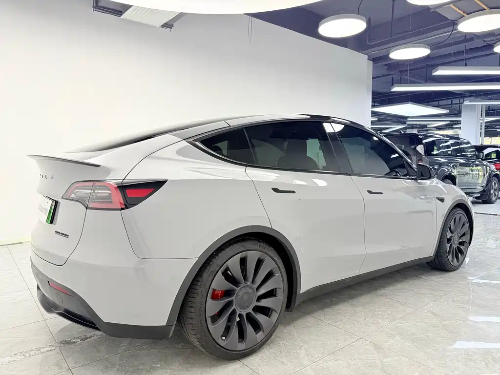 Tesla Model Y 2023 — фото 6