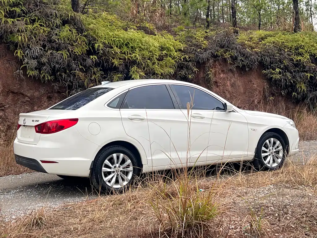 BAIC Senova D50 2015 — фото 18