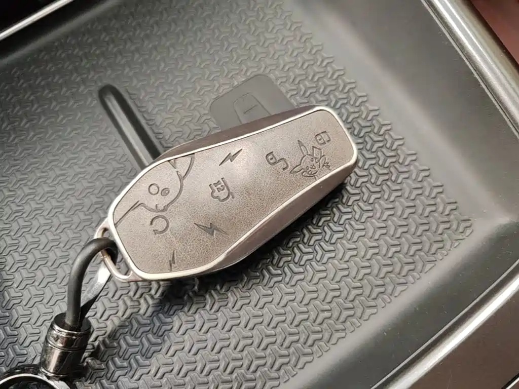 BYD Song Pro New Energy 2025 — фото 9