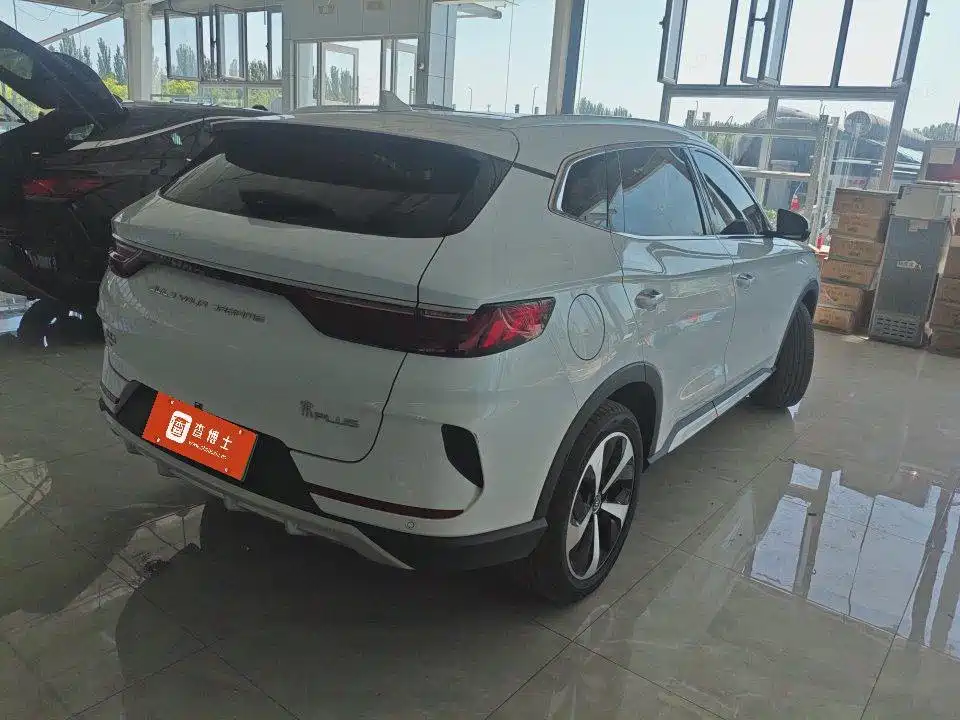 BYD PLUS New Energy 2023 — фото 3