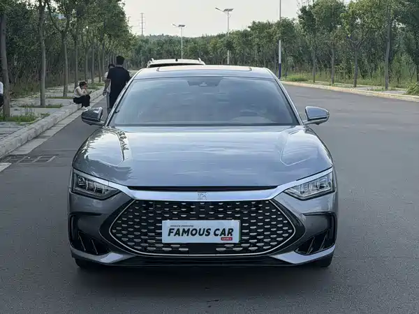 BYD Han 2022