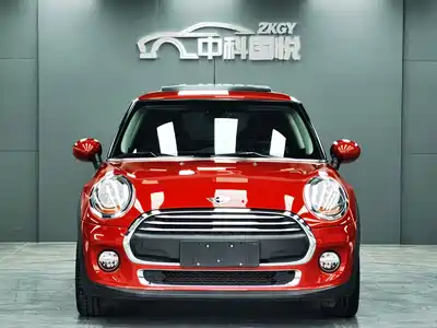 MINI MINI 2018
