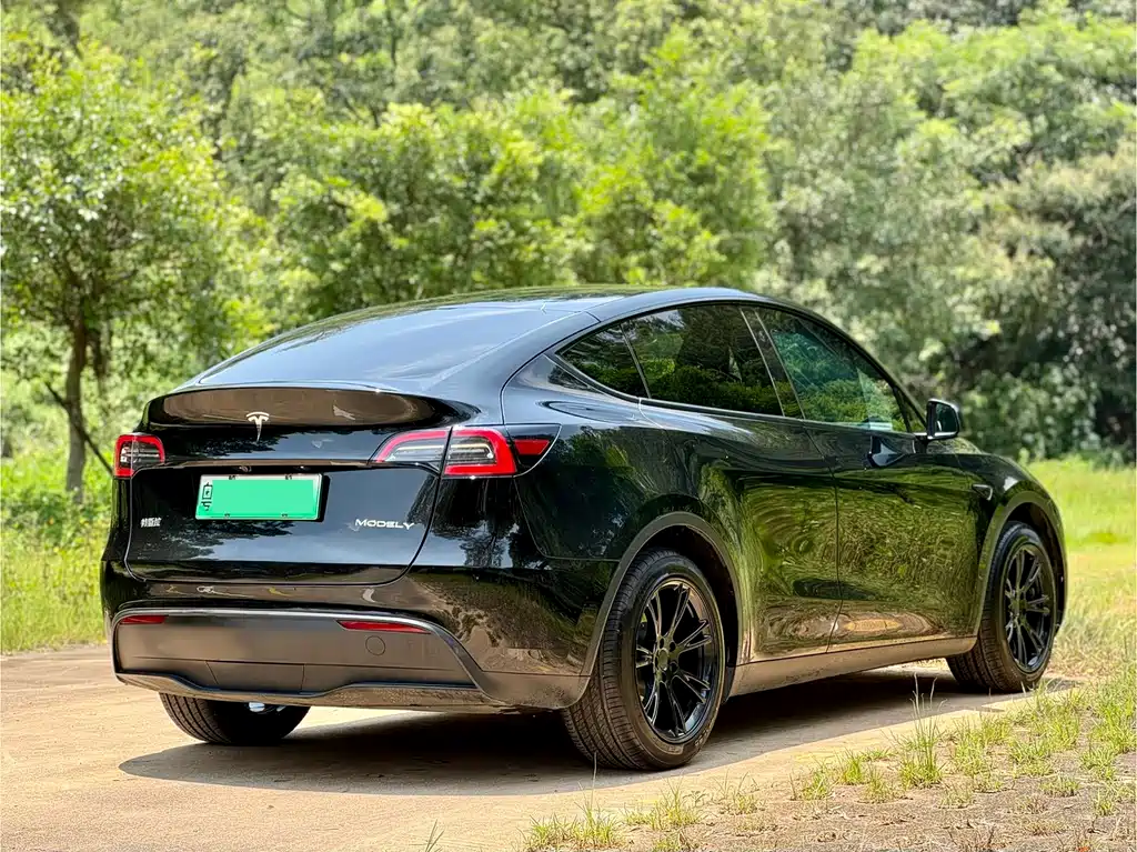 Tesla Model Y 2024 — фото 6