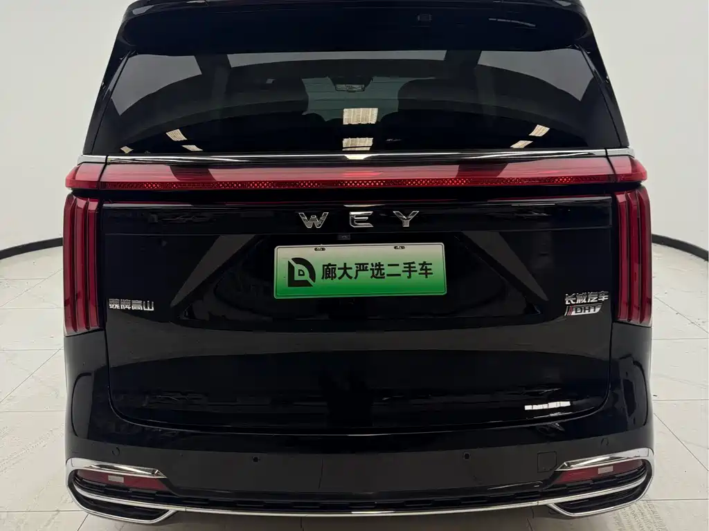 Wey Gaoshan 2025