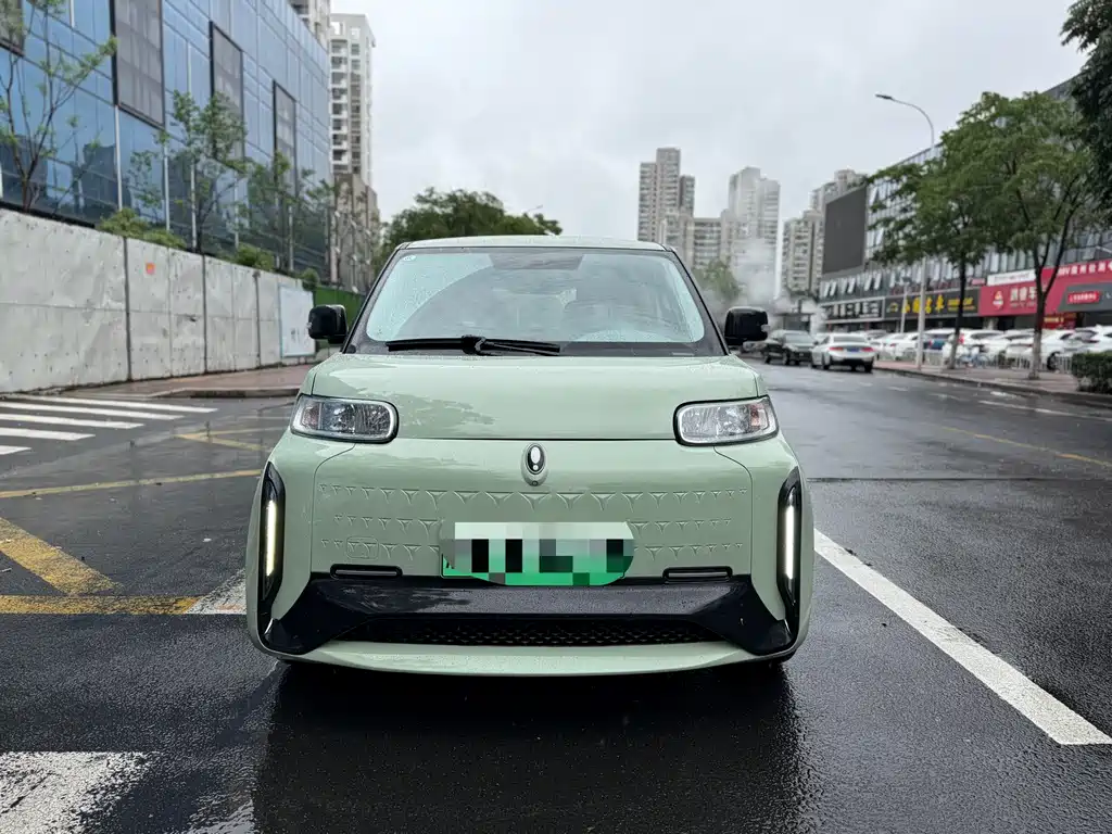 Ora White Cat 2022