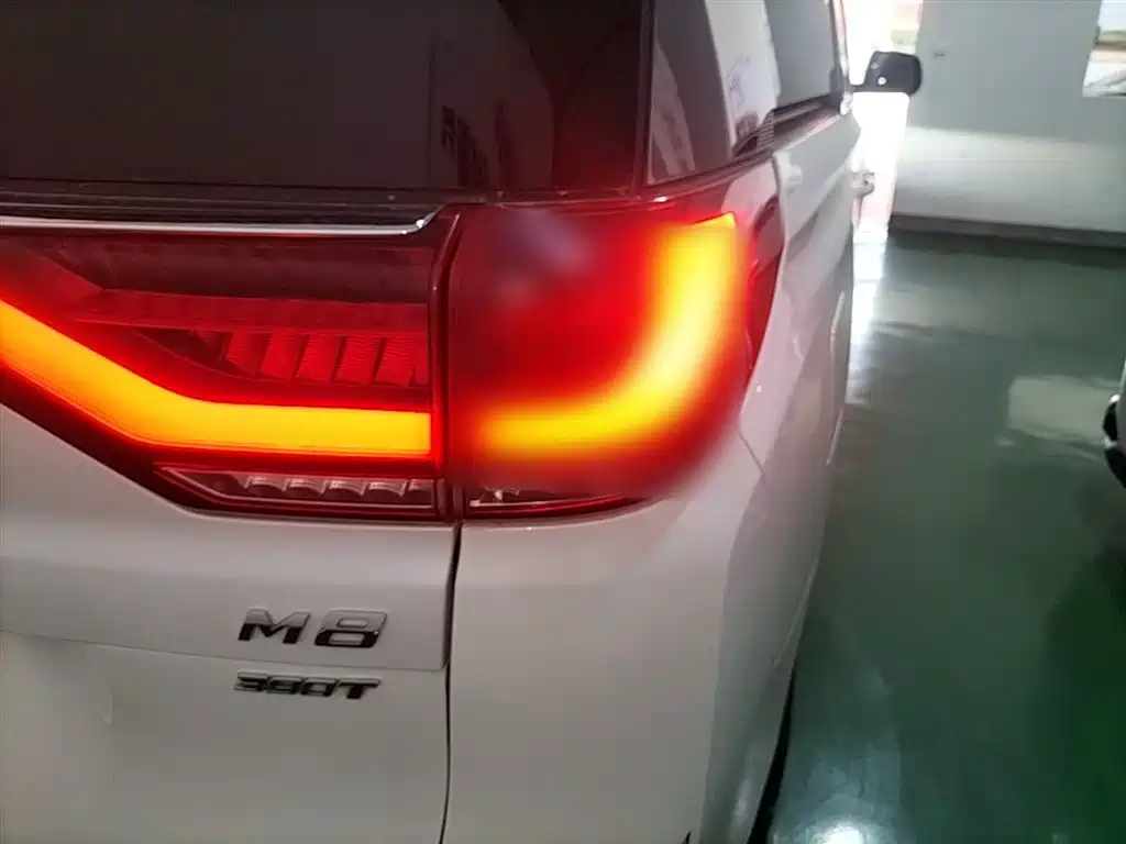 GAC Motor Trumpchi M8 2021 — фото 8