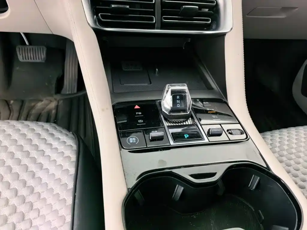 BYD Song PLUS New Energy 2025 — фото 14