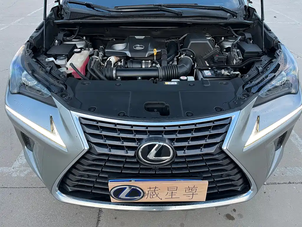 Lexus NX 2018 — фото 18