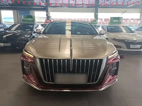Hongqi H5 2024