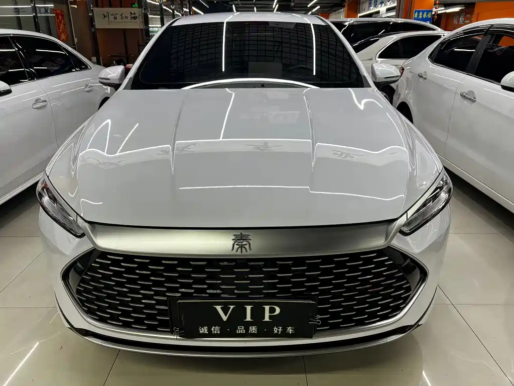 BYD Qin PLUS 2024 — фото 2