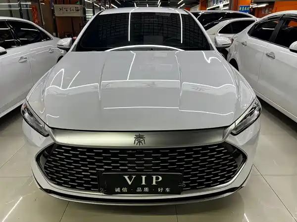 BYD Qin PLUS 2024